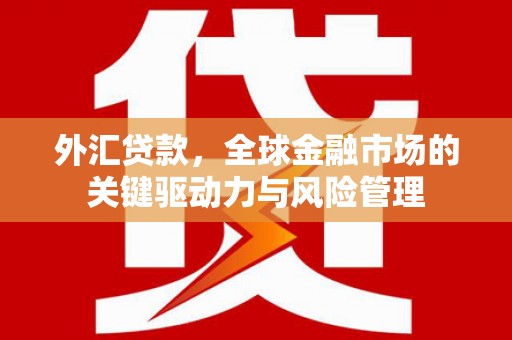 颍泉外汇贷款，全球金融市场的关键驱动力与风险管理