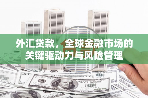 颍泉外汇贷款，全球金融市场的关键驱动力与风险管理