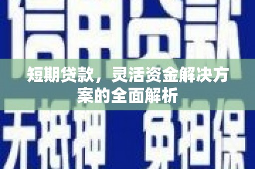 颍泉短期贷款，灵活资金解决方案的全面解析