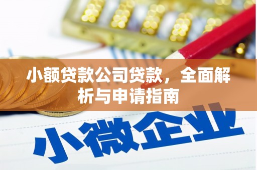 颍泉小额贷款公司贷款，全面解析与申请指南