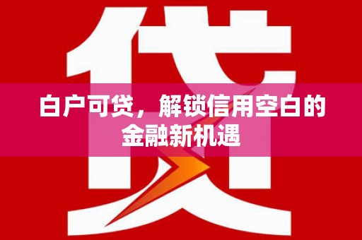 颍泉白户可贷，解锁信用空白的金融新机遇