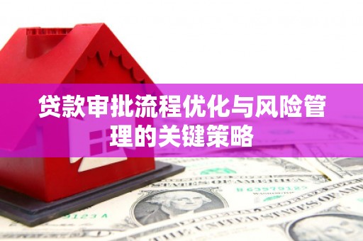 颍泉贷款审批流程优化与风险管理的关键策略