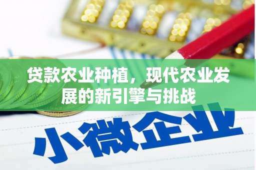 颍泉贷款农业种植，现代农业发展的新引擎与挑战