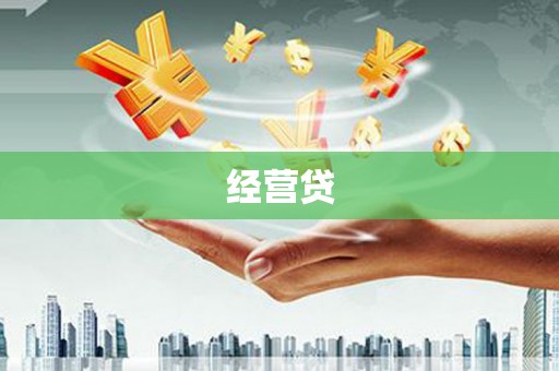 颍泉经营贷