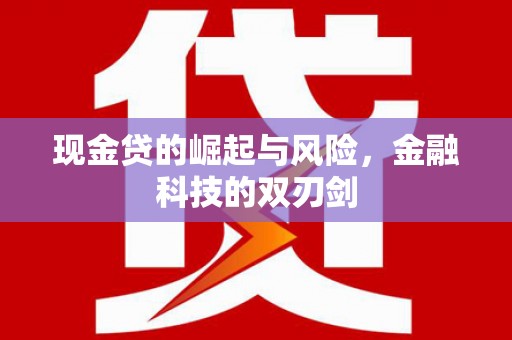 颍泉现金贷的崛起与风险，金融科技的双刃剑