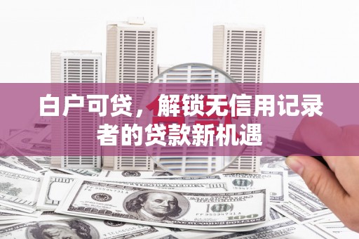 颍泉白户可贷，解锁无信用记录者的贷款新机遇