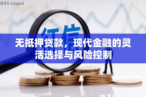 颍泉无抵押贷款，现代金融的灵活选择与风险控制