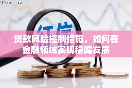 颍泉贷款风险控制措施，如何在金融领域实现稳健发展
