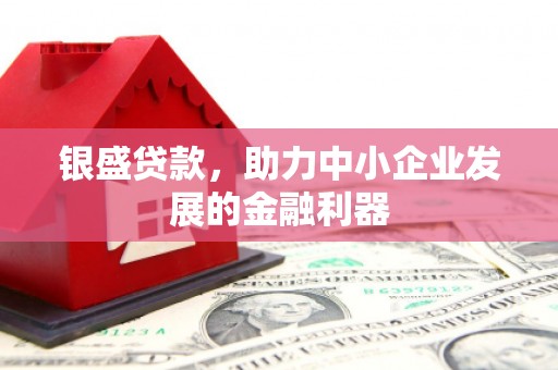 颍泉银盛贷款，助力中小企业发展的金融利器