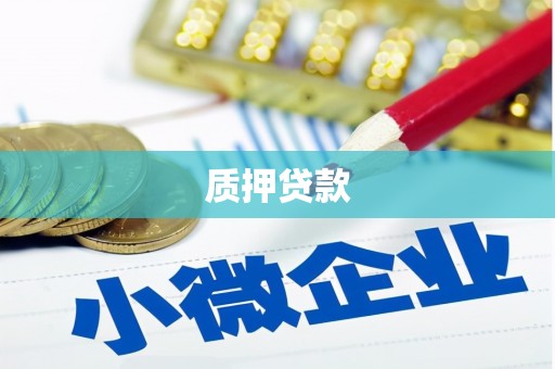 颍泉质押贷款