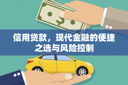 颍泉信用贷款，现代金融的便捷之选与风险控制