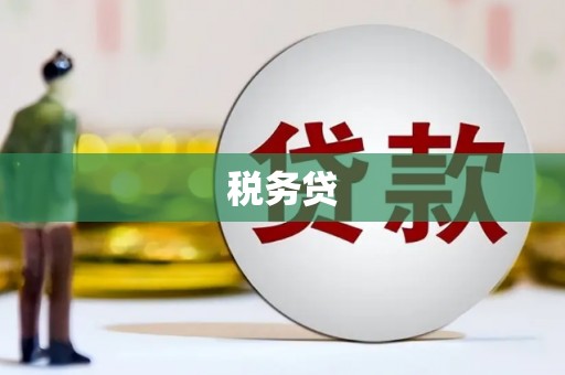 颍泉税务贷