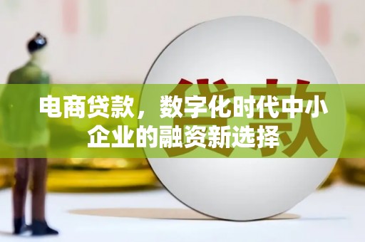 颍泉电商贷款，数字化时代中小企业的融资新选择
