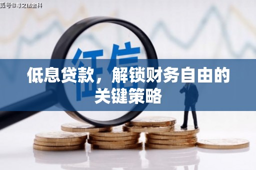 颍泉低息贷款，解锁财务自由的关键策略