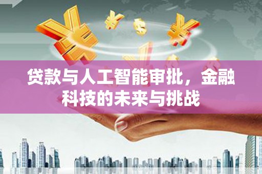 颍泉贷款与人工智能审批，金融科技的未来与挑战