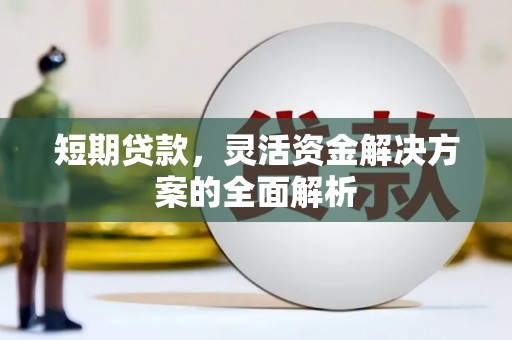 颍泉短期贷款，灵活资金解决方案的全面解析
