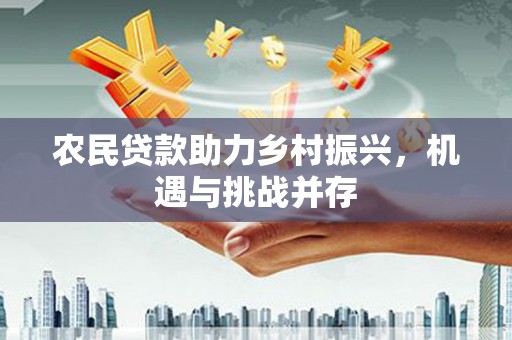 颍泉农民贷款助力乡村振兴，机遇与挑战并存