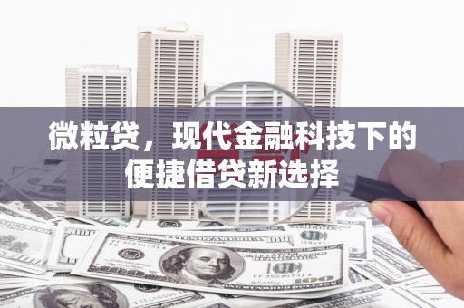 颍泉微粒贷，现代金融科技下的便捷借贷新选择