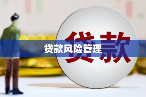 颍泉贷款风险管理