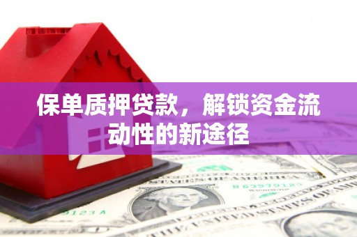 颍泉保单质押贷款，解锁资金流动性的新途径