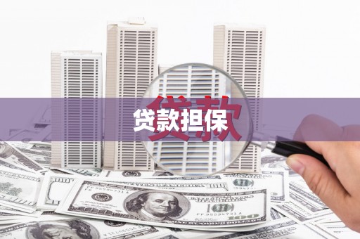 颍泉贷款担保