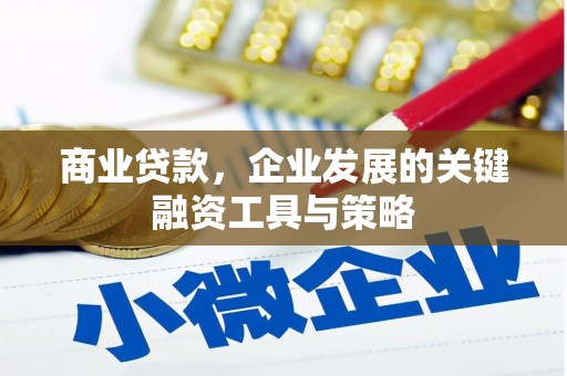 颍泉商业贷款，企业发展的关键融资工具与策略