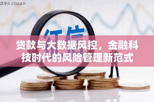 颍泉贷款与大数据风控，金融科技时代的风险管理新范式