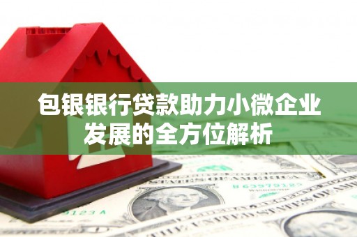 颍泉包银银行贷款助力小微企业发展的全方位解析