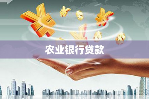 颍泉农业银行贷款