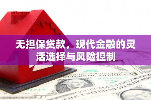 颍泉无担保贷款，现代金融的灵活选择与风险控制