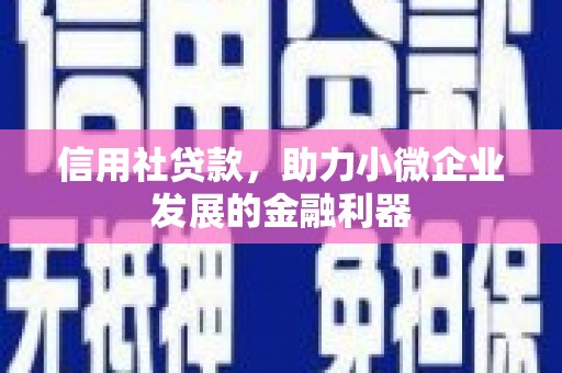 颍泉信用社贷款，助力小微企业发展的金融利器
