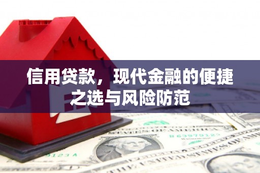 颍泉信用贷款，现代金融的便捷之选与风险防范