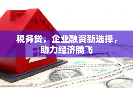 颍泉税务贷，企业融资新选择，助力经济腾飞
