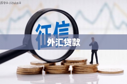 颍泉外汇贷款