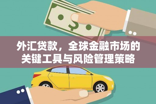 颍泉外汇贷款，全球金融市场的关键工具与风险管理策略