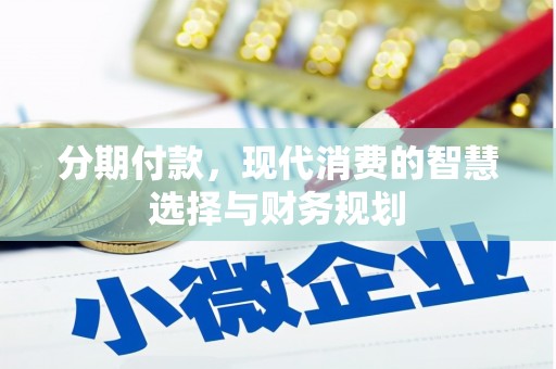 颍泉分期付款，现代消费的智慧选择与财务规划