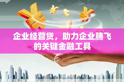 颍泉企业经营贷，助力企业腾飞的关键金融工具