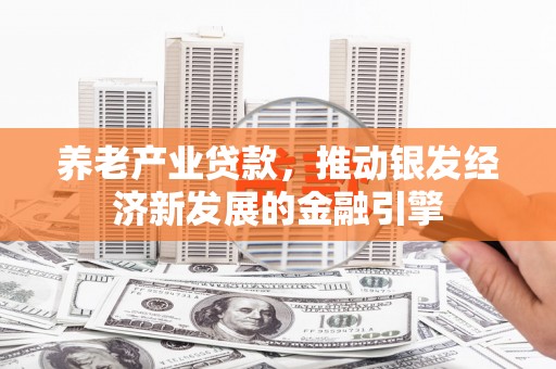 颍泉养老产业贷款，推动银发经济新发展的金融引擎