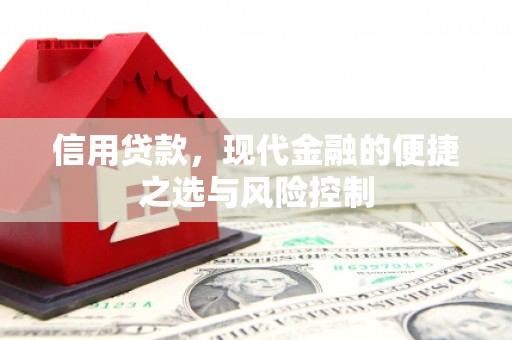 颍泉信用贷款，现代金融的便捷之选与风险控制