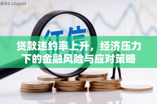 颍泉贷款违约率上升，经济压力下的金融风险与应对策略