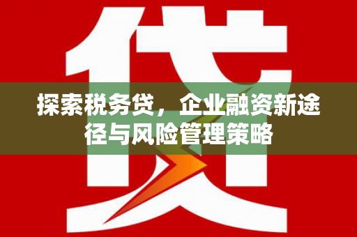 颍泉探索税务贷，企业融资新途径与风险管理策略