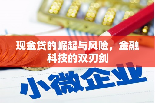 颍泉现金贷的崛起与风险，金融科技的双刃剑