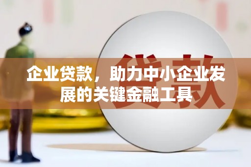 颍泉企业贷款，助力中小企业发展的关键金融工具