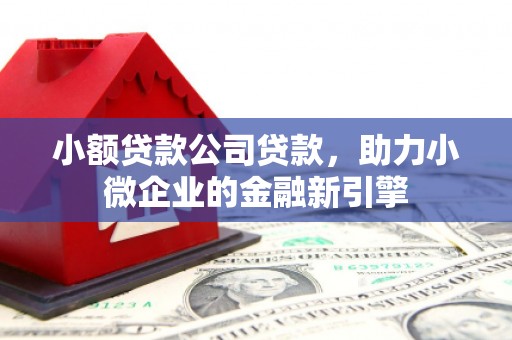 颍泉小额贷款公司贷款，助力小微企业的金融新引擎