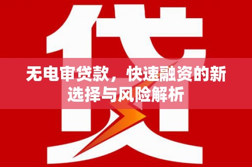 颍泉无电审贷款，快速融资的新选择与风险解析