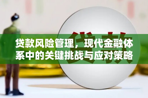 颍泉贷款风险管理，现代金融体系中的关键挑战与应对策略