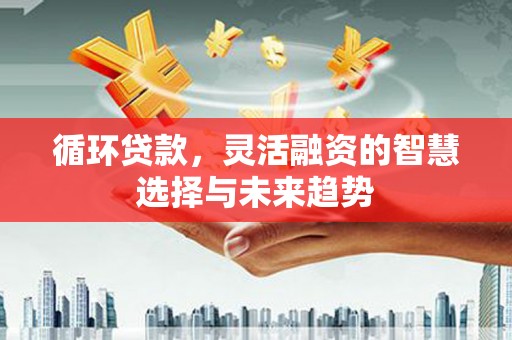 颍泉循环贷款，灵活融资的智慧选择与未来趋势
