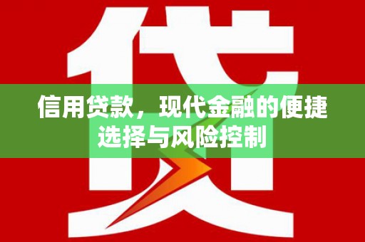 颍泉信用贷款，现代金融的便捷选择与风险控制