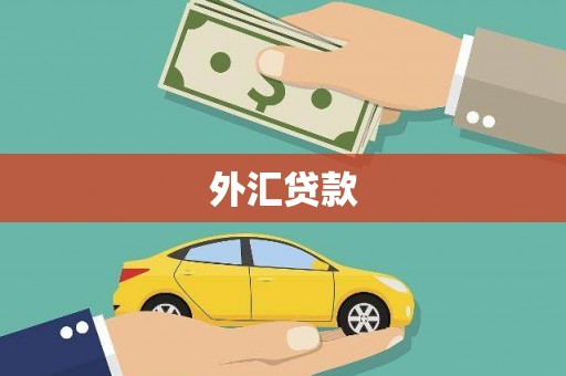 颍泉外汇贷款
