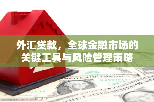 颍泉外汇贷款，全球金融市场的关键工具与风险管理策略